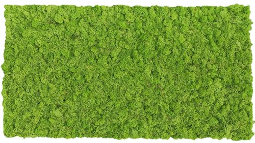 Moss mat grass green 114x57cm as moss picture or moss wall from natural moss Island moss
