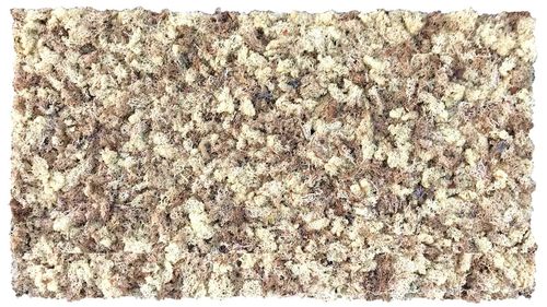 Moss mat natural white 114x57cm as moss picture or moss wall from natural moss Island moss
