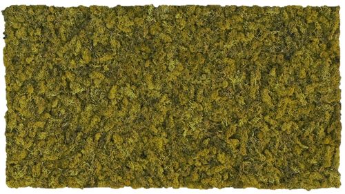 Moss mat olive green 104x57cm as moss picture or moss wall from natural moss Island moss