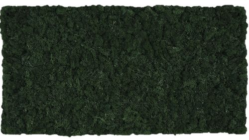 Moosmatte Tannengrün 114x57cm als Moosbild oder Mooswand aus Naturmoos Islandmoos