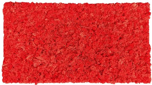 Panel de musgo rojo cereza 114x57cm para murales y paredes e musgo natural