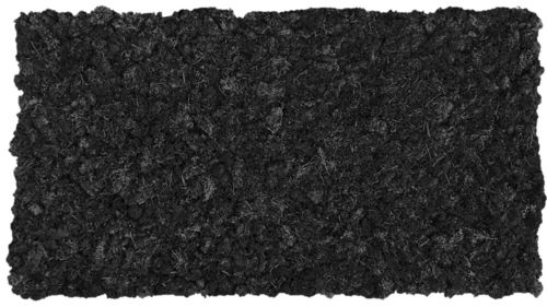 Moosmatte Carbonschwarz 114x57cm als Moosbild oder Mooswand aus Naturmoos Islandmoos