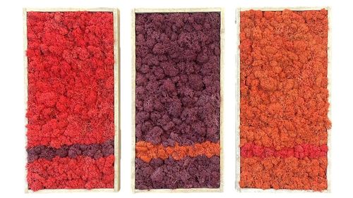 Set diseño de 3 cuadros de musgo ,rojo, burdeos y naranja´ en marco de madera 40x20cm