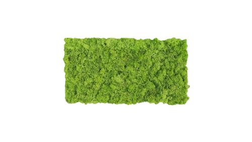 Panel de musgo verde hierba 57x28,5cm para murales y paredes de musgo natural