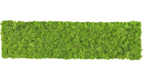Moss mat grass green 114x28,5cm as moss picture or moss wall from natural moss Island moss