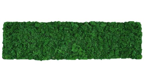 Moss mat leaf green 114x28,5cm as moss picture or moss wall from natural moss Island moss
