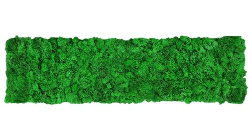 Panel de musgo verde manzana 114x28,5cm para murales y paredes e musgo natural