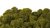 Musgo supremo en verde oliva para cuadros y paneles de musgo
