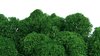 Musgo supremo verde natural para cuadros y paneles de musgo