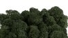 Premium quality moss dark green moss-images and moss-walls