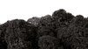 Musgo supremo en negro carbón para cuadros y paneles de musgo
