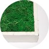 Moss Flakes Apple-Green