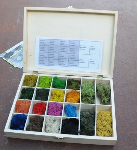 Premium quality moss sample box for Moss-Images and Moss-Walls