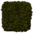 Moss-square moss-image made of premium moss up to 60% discount