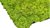 Moss mat may green 114x57cm as moss picture or moss wall from natural moss Island moss