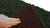 Moosmatte Tannengrün 114x57cm als Moosbild oder Mooswand aus Naturmoos Islandmoos