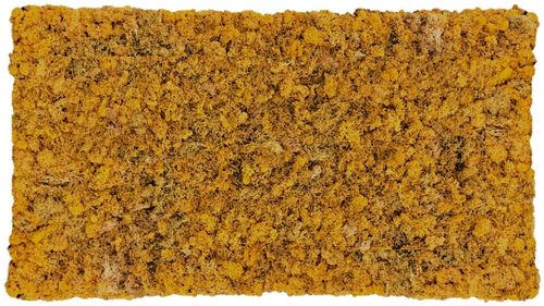 Moss mat natural yellow 114x57cm as moss picture or moss wall from natural moss Island moss