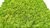 Panel de musgo verde mayo 104x57cm 0,6m² B1 de liquen de reno