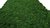 Miet-Moosmatte Naturgrün 114x57cm 0,65m² schwer entflammbar aus Islandmoos inkl. MDF Wandhalterung