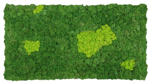 Panel de musgo verde natural con mechones verde hierba 114x57cm para murales y paredes e musgo natur