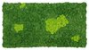 Moss mat two-coloured fluffy 114x57cm as moss picture or moss wall from natural moss Iceland moss
