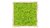 Moosbild im Natur-Birkenholzrahmen maigrün ab 23x23cm