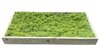 Cuadro de musgo en marco de madera verde hierba 40x20cm