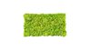 Moss mat may green 57x28,5cm as moss picture or moss wall from natural moss Island moss
