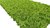 Moosmatte Grasgrün 57x28,5cm als Moosbild oder Mooswand aus Naturmoos Islandmoos