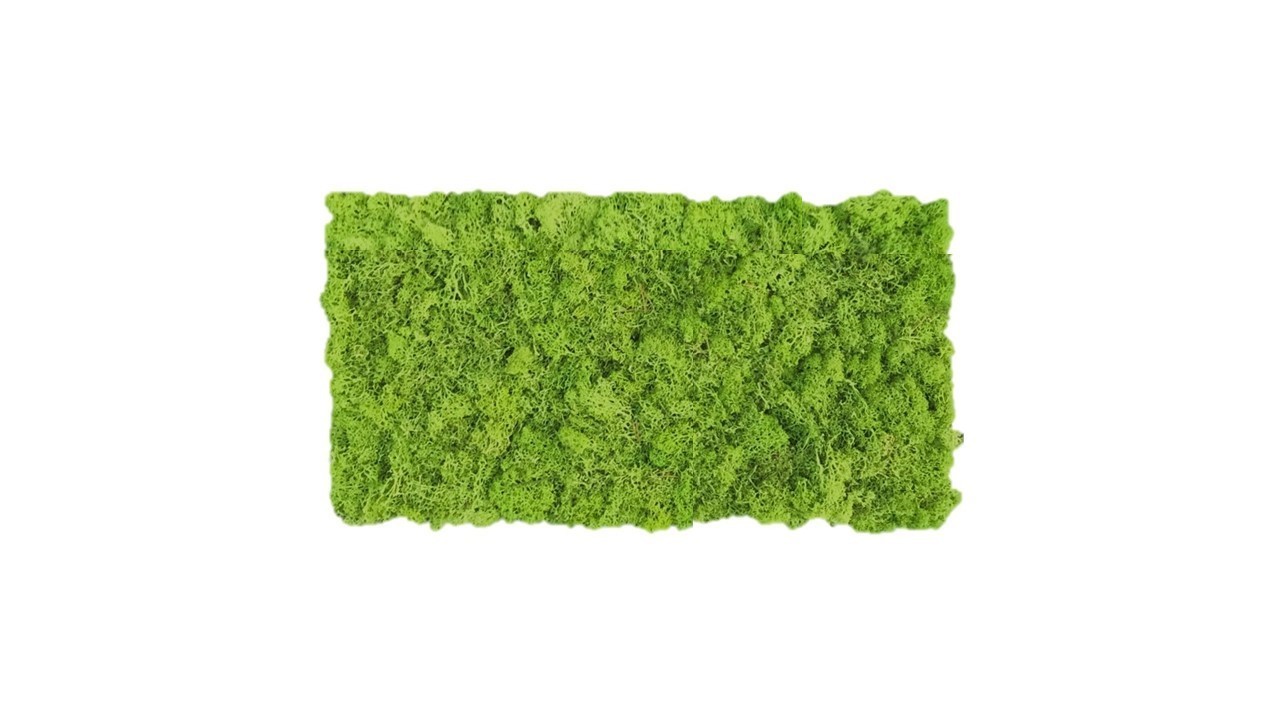 imitar Subir y bajar Explícitamente Panel de musgo verde hierba 57x28,5cm para murales y paredes de musgo  natural - musgo-natural