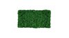 Moss mat leaf green 57x28,5cm as moss picture or moss wall from natural moss Island moss