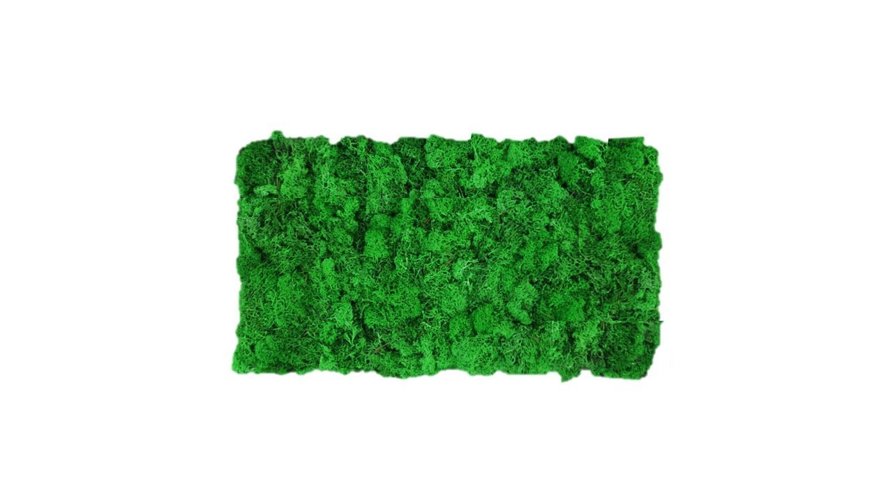 Viento Fascinar acumular Panel de musgo verde manzana 57x28,5cm para murales y paredes e musgo  natural