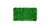 Moss mat apple green 57x28,5cm m as moss picture or moss wall from natural moss Island moss
