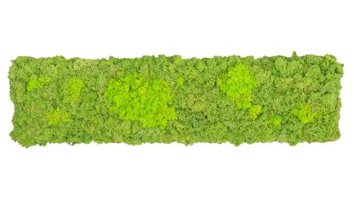 Panel de musgo verde hierbacon mechones verde mayo 114x28,5cm para murales y paredes e musgo natural